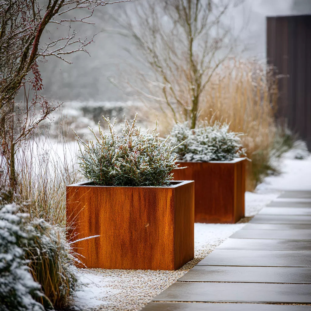 Two corten steel planters with snow-covered plants on a snowy pathway.