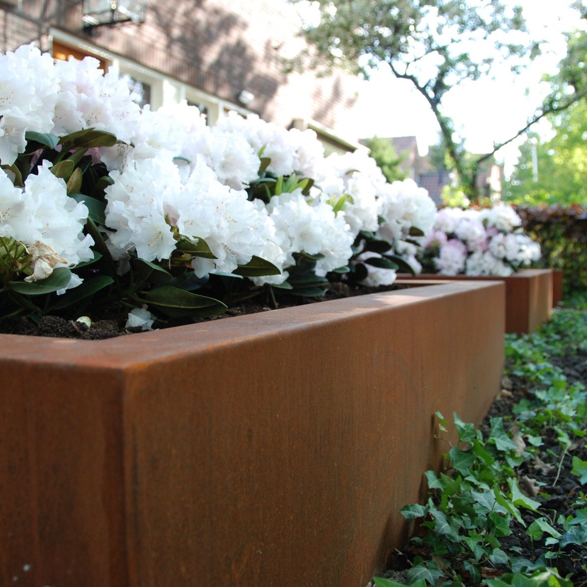 Picture of a square corten steel garden planter pot with plants in it