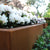 Picture of a square corten steel garden planter pot with plants in it