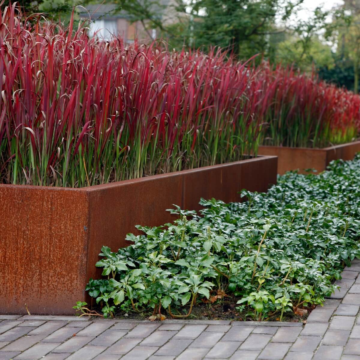 Corten Steel Retaining Wall 30cm High